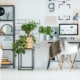 simple-home-office-with-tree-PBXRXYB-large87yyy-min